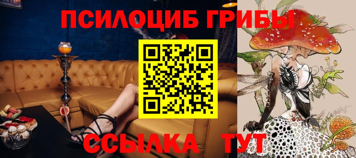Псилоцибиновые грибы прущие грибы Тюмень