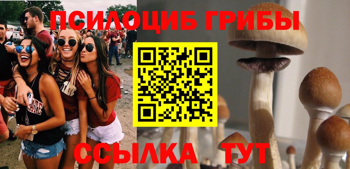 Псилоцибиновые грибы мицелий Тюмень